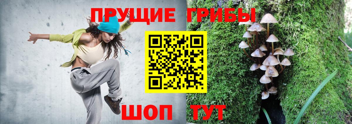 Пушкино  Псилоцибиновые грибы прущие грибы  Вход с VPN 